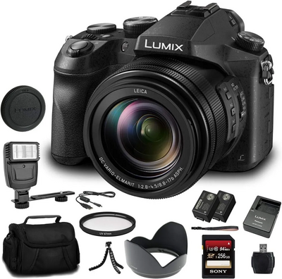 Panasonic Lumix DMC-FZ2500 Image