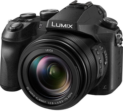 Panasonic Lumix DMC-FZ2500 Image