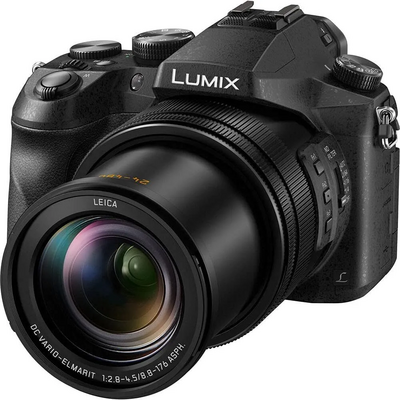 Panasonic Lumix DMC-FZ2500 Image