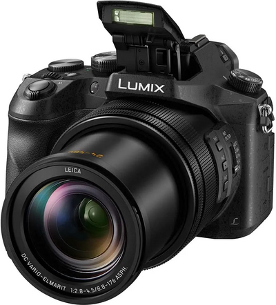 Panasonic Lumix DMC-FZ2500 Image