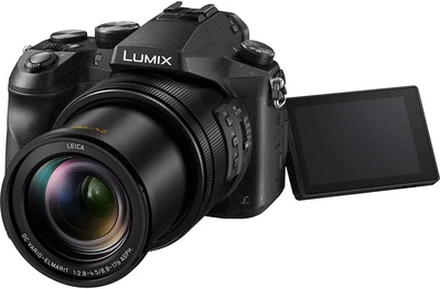 Panasonic Lumix DMC-FZ2500 Image