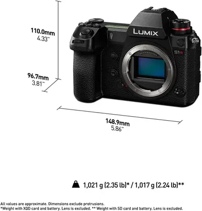 Panasonic S1R Image