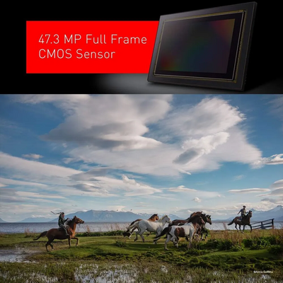 Panasonic S1R Image