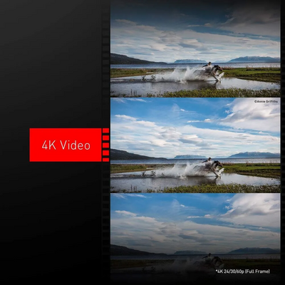 Panasonic S1R Image