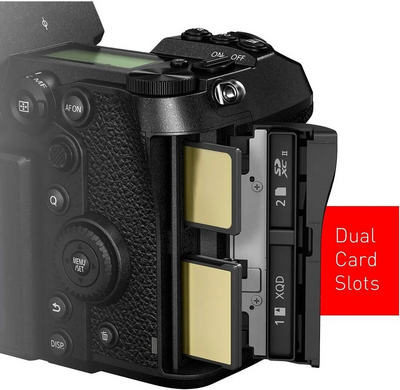 Panasonic S1R Image