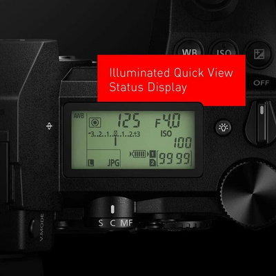 Panasonic S1R Image