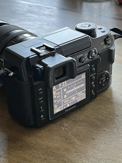 Panasonic L1 Image
