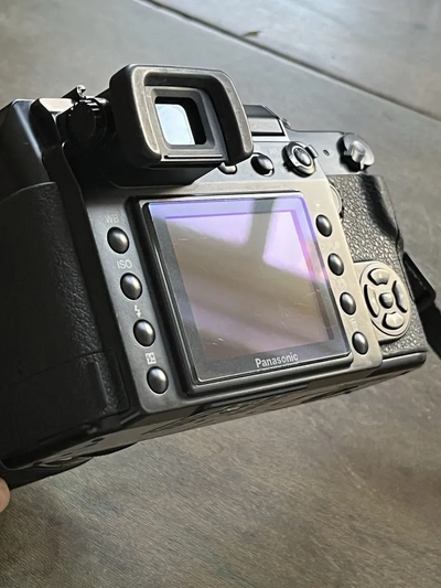 Panasonic L1 Image