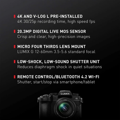 Panasonic G95DMK Image