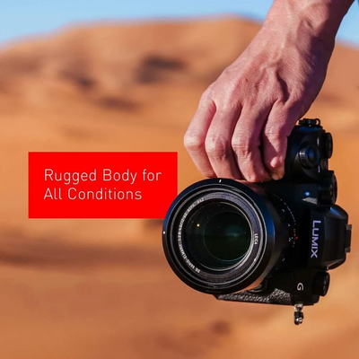 Panasonic G95DMK Image
