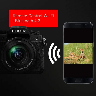 Panasonic G95DMK Image