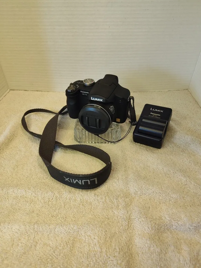 Panasonic FZ8 Image