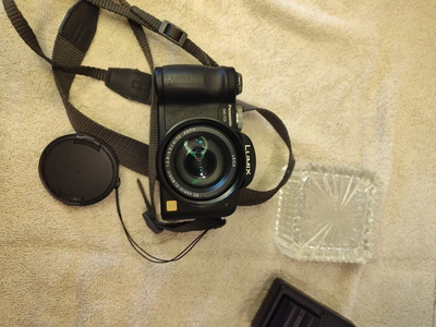 Panasonic FZ8 Image