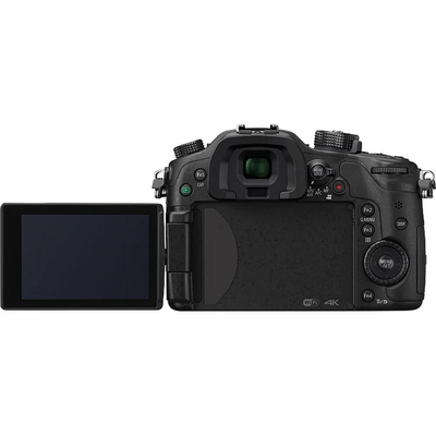Panasonic GH4 Image