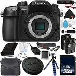Panasonic GH4 Image