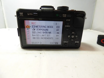 Panasonic GF1K Image