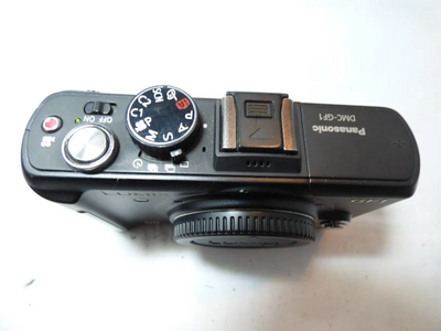 Panasonic GF1K Image