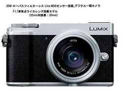 Panasonic LUMIX GX7MK3 Image