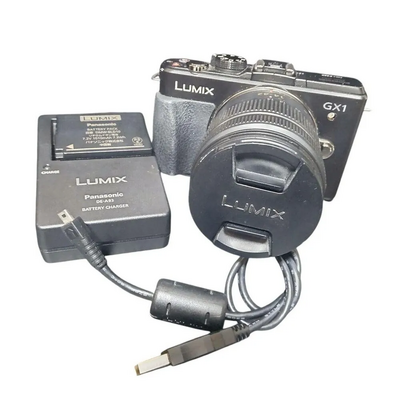 Panasonic DMC-GX1 Image