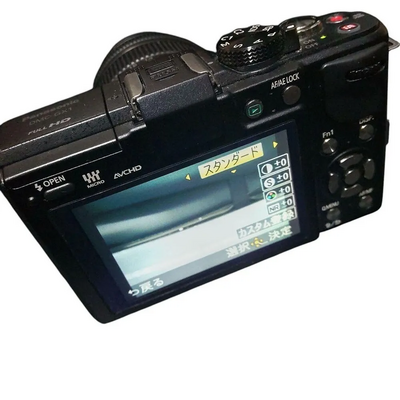 Panasonic DMC-GX1 Image