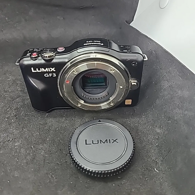 Panasonic GF3 Image