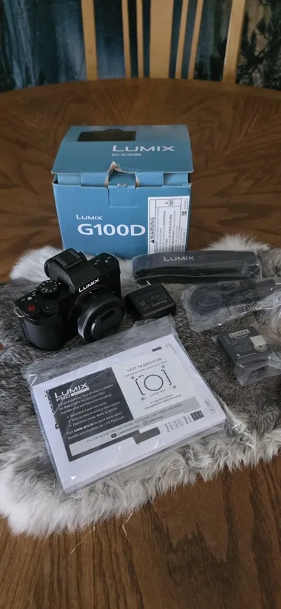 Panasonic Lumix G100 Image
