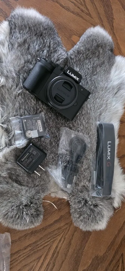Panasonic Lumix G100 Image