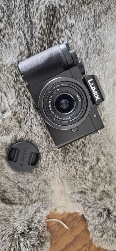 Panasonic Lumix G100 Image