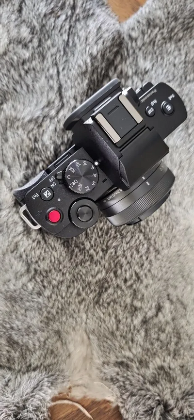 Panasonic Lumix G100 Image