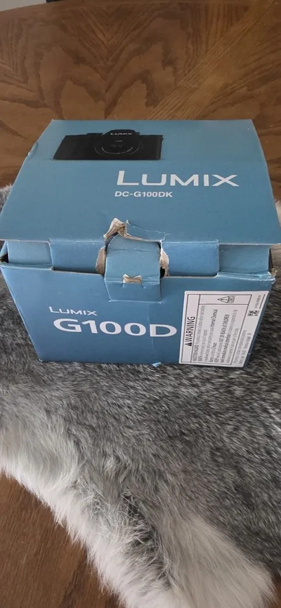 Panasonic Lumix G100 Image
