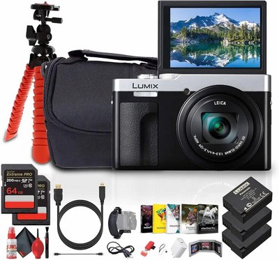 Panasonic ZS99S Image