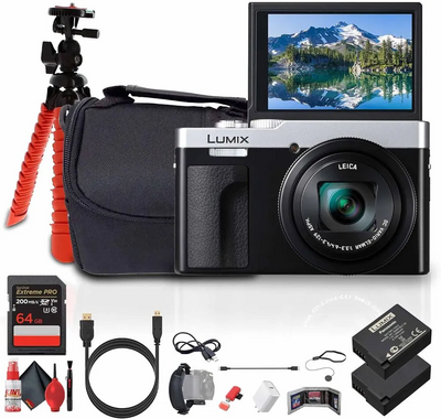 Panasonic ZS99S Image