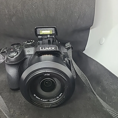 Panasonic FZ300 Image