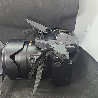 Panasonic FZ300 Image