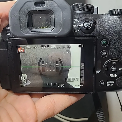 Panasonic FZ300 Image