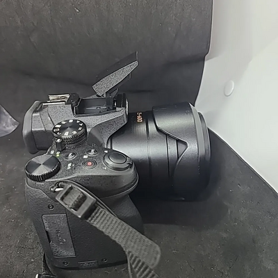 Panasonic FZ300 Image