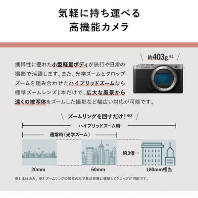 Panasonic Lumix S9 Wide Angle Zoom Lens Kit Image