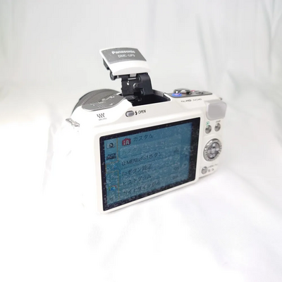 Panasonic GF5 Image