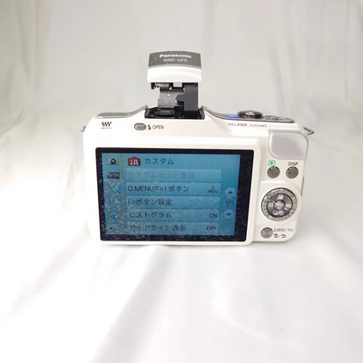 Panasonic GF5 Image