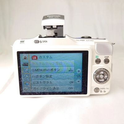 Panasonic GF5 Image