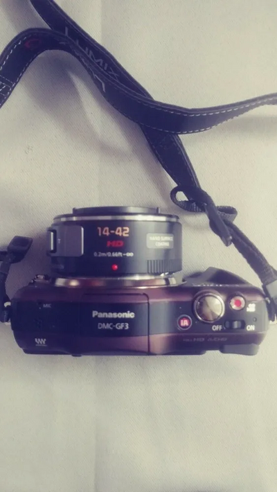 Panasonic GF3X Image