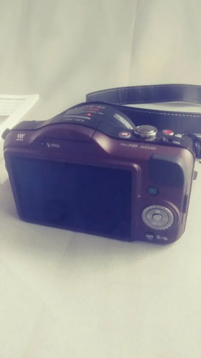 Panasonic GF3X Image