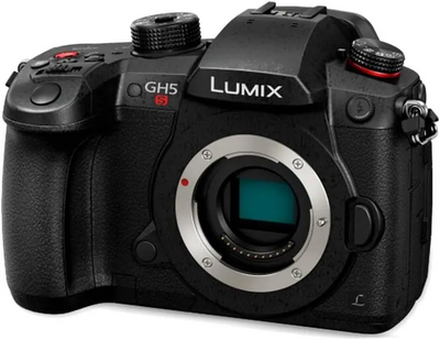 Panasonic GH5S Image