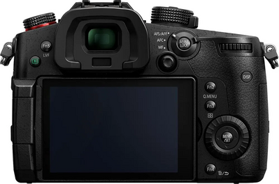 Panasonic GH5S Image