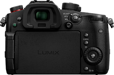 Panasonic GH5S Image
