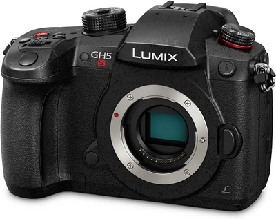 Panasonic GH5S Image