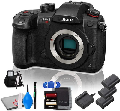 Panasonic GH5S Image