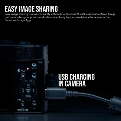 Panasonic ZS99 Image