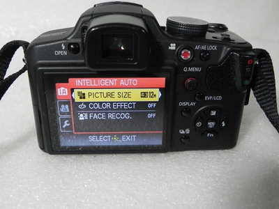 Panasonic Lumix dmc-fz35 Image