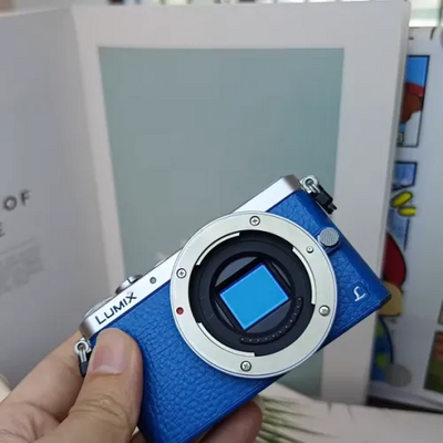 Panasonic GM1 Image